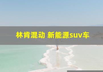 林肯混动 新能源suv车